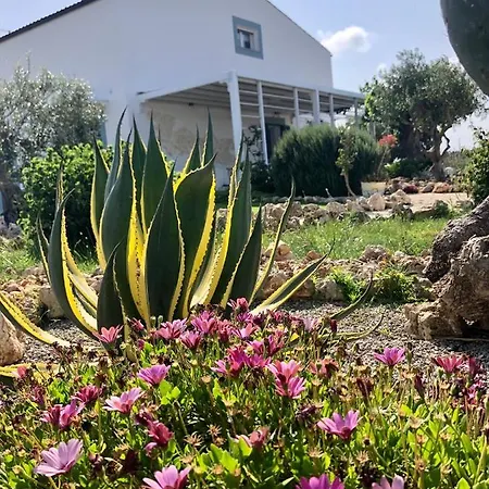 Casa Del Faro Sanvallero Adults Only